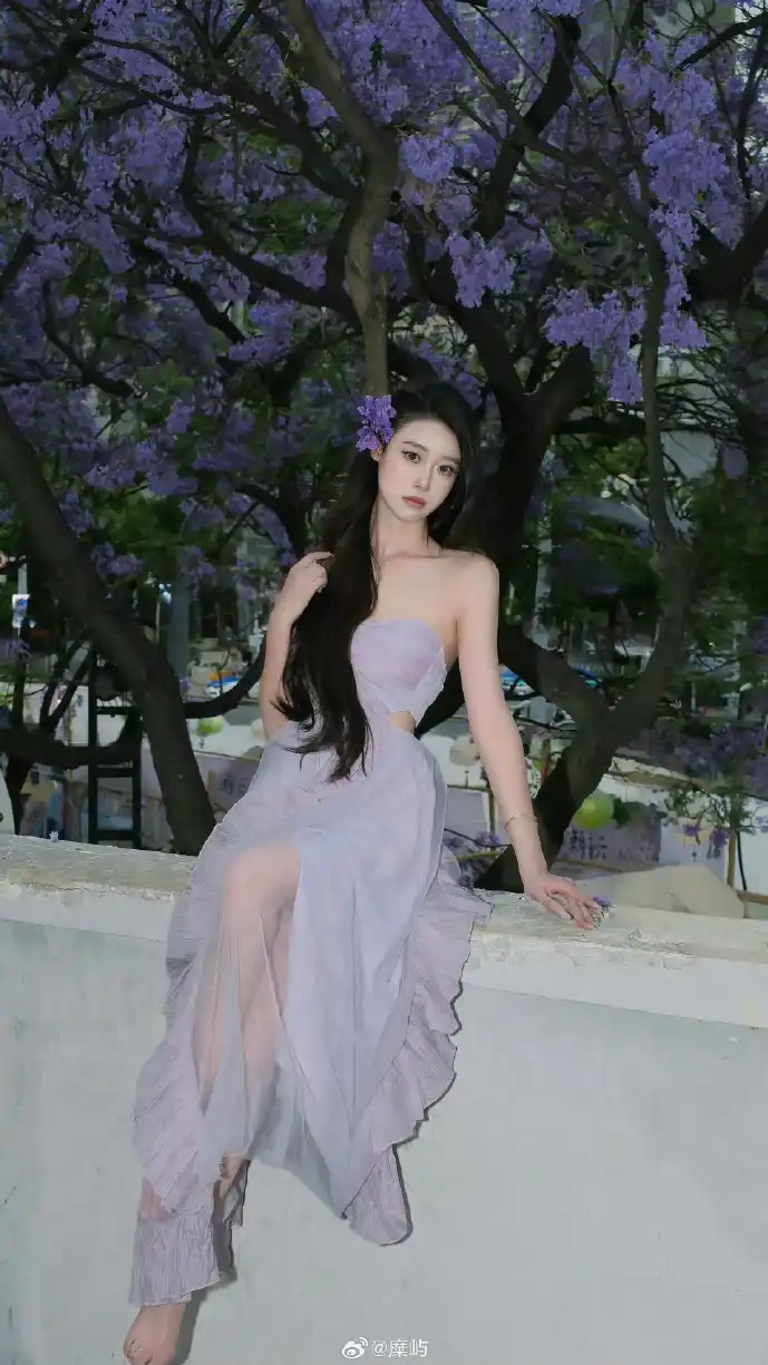 表情包生态数据